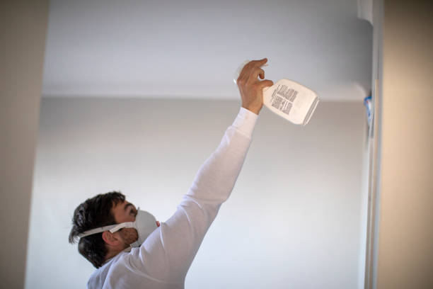 Best Certified Mold Removal  in Hagaman, NY