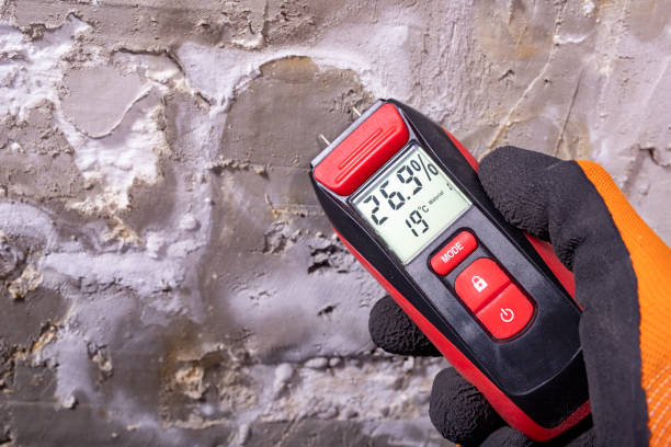 Best Mold Remediation  in Hagaman, NY