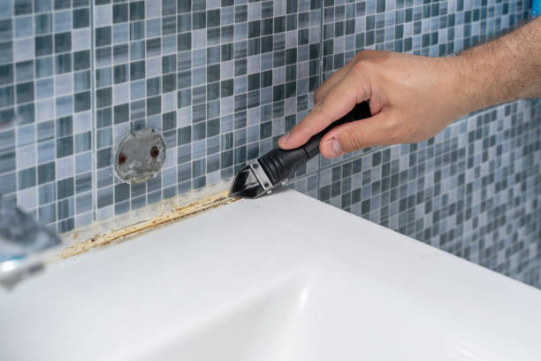 Best Mold Removal Specialists  in Hagaman, NY